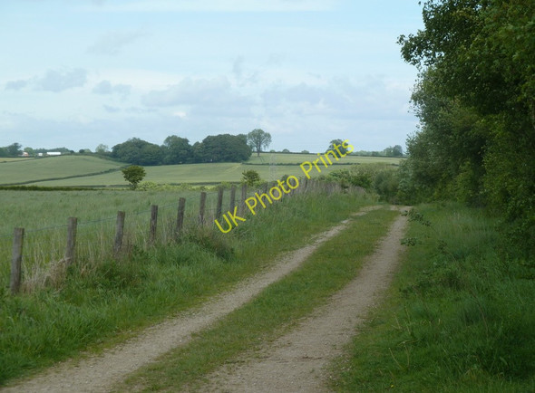 Photo 6"x4" Track by woodland edge Clay Cross c2011