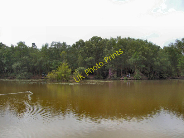Photo 6"x4" Silt Lake, Tilgate Park Crawley\/TQ2736 c2011