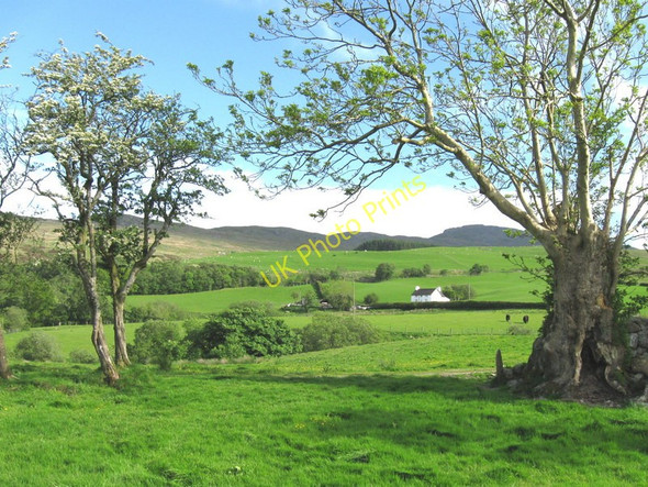 Photo 6"x4" Looking towards Llechwedd Fwyalchen Farm..  Near Bala Rhosdylluan c2011