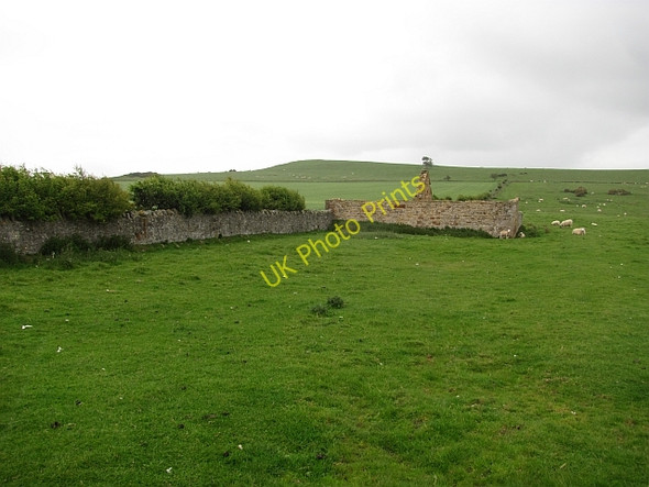 Photo 6"x4" Ruin, South Charlton South Charlton c2011