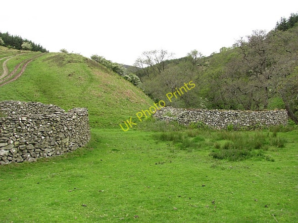 Photo 6"x4" Stells, Gate Hope Holylee c2011