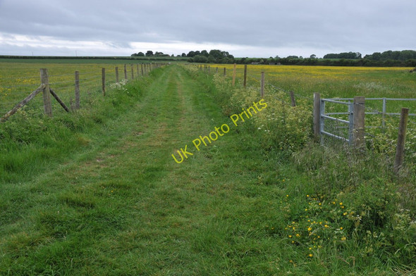 Photo 6"x4" Farmland near Appleton Lower Common Moreton\/SP4101 c2011