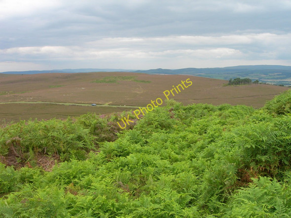 Photo 6"x4" Path up to Ros Castle Chillingham c2009