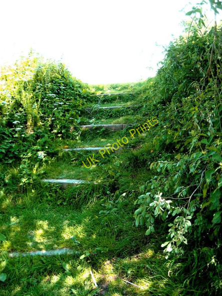 Photo 6"x4" Steps from River Severn up to Northwick Lido, Northwick, Worcester Worcester c2011