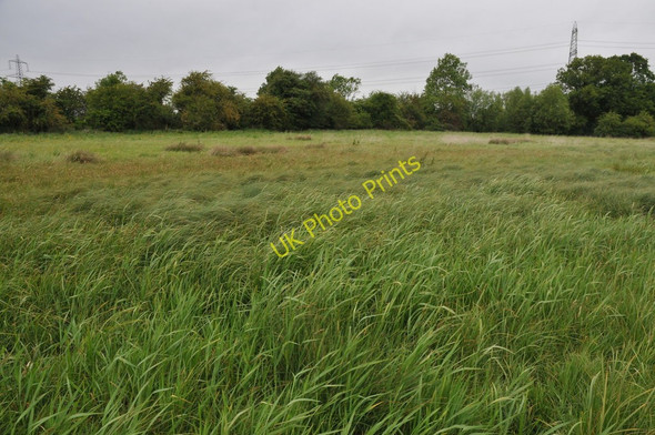 Photo 6"x4" Meadow near Northmoor Lock Northmoor\/SP4202 c2011