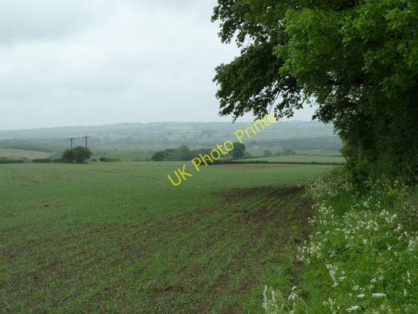 Photo 6"x4" Large field above White Lodge Middle Handley c2011