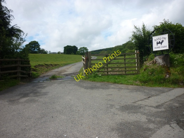 Photo 6"x4" The way to Barlow Home Farm Hopesay c2011