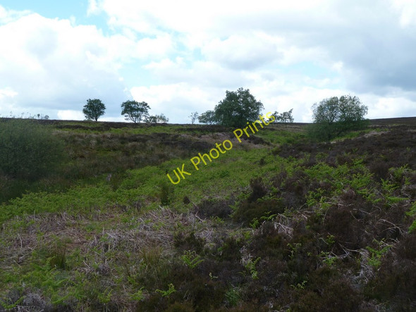 Photo 6"x4" Moorland and upland stream catchment Owler Bar c2011