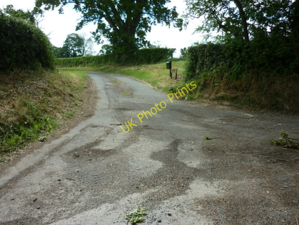 Photo 6"x4" The way to Aldon Court Aldon\/SO4379 c2011