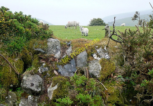Photo 6"x4" Old wall and bank Meldon\/SX5592 c2011