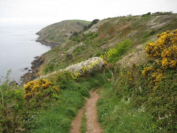 Photo 6"x4" Coast path east of Polperro Brent c2011