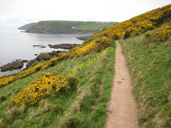 Photo 6"x4" Coast path and Talland Bay Looe c2011