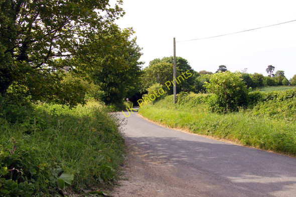 Photo 6"x4" The road to Cuddesdon Cuddesdon c2011