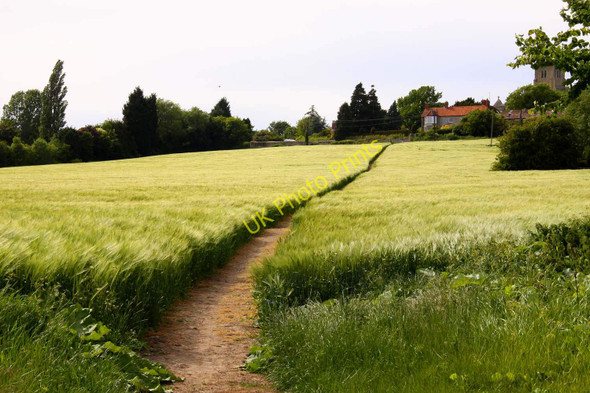 Photo 6"x4" Footpath to Cuddesdon Cuddesdon c2011