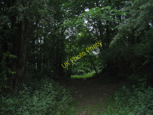 Photo 6"x4" Gap in the trees Woodhouse\/SE7808 c2011