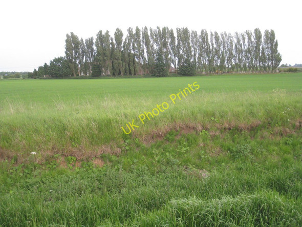 Photo 6"x4" Common Farm Woodhouse\/SE7808 c2011