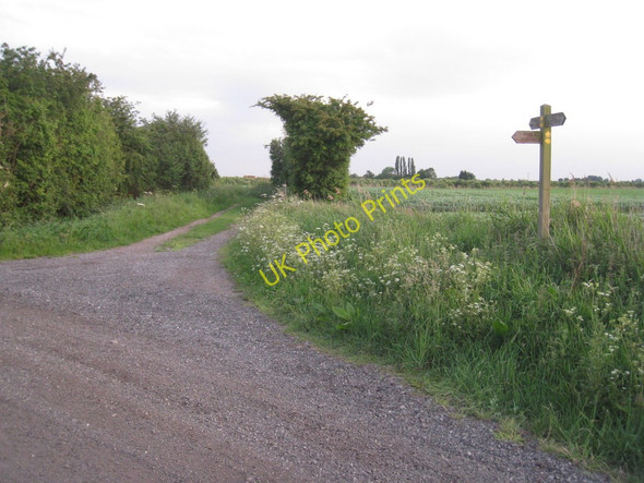 Photo 6"x4" The junction of Scawcett lane and Fishings Lane Tunnel Pits c2011