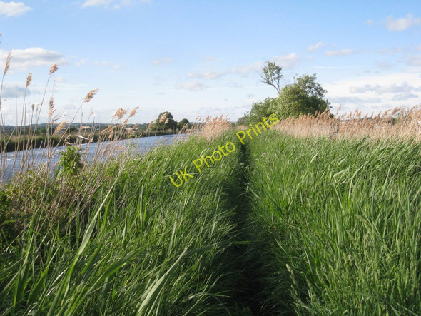 Photo 6"x4" Footpath by the Exeter Canal Exton\/SX9886 c2011
