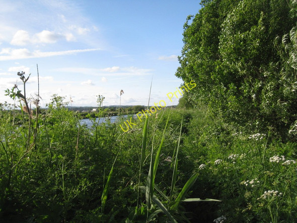 Photo 6"x4" Footpath by the Exeter Canal Topsham c2011