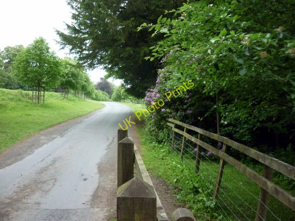 Photo 6"x4" The driveway from Moor Park School Batchcott c2011