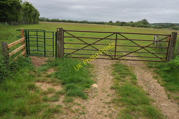 Photo 6"x4" Gate on the Thames Path West End\/SP4204 c2011