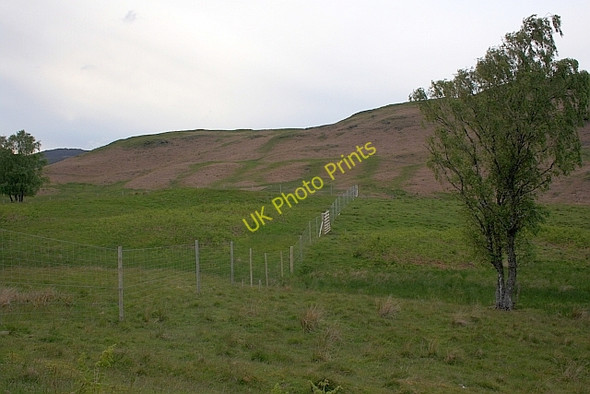 Photo 6"x4" Deer Fence, Looking up Towards Dalrannoch Hill Cultybraggan c2011