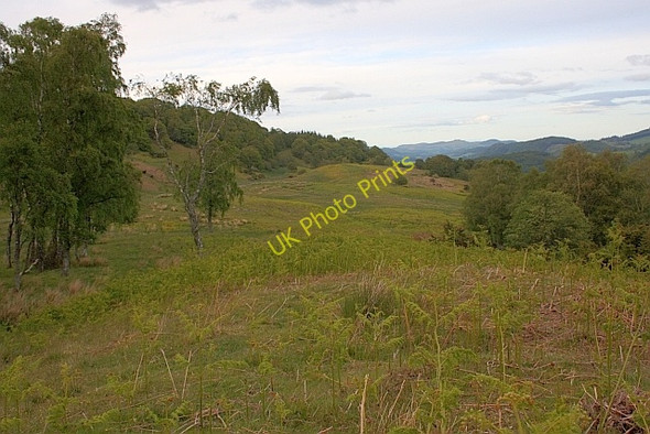 Photo 6"x4" Bracken Covered Hillside Cultybraggan c2011