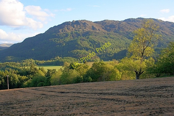 Photo 6"x4" Field Above Dunira Dunira c2011