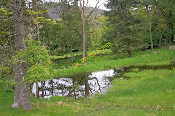 Photo 6"x4" Pond, Invergeldie Invergeldie c2011
