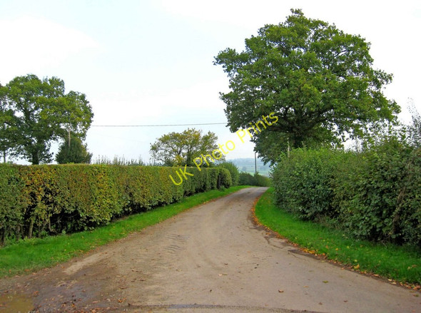 Photo 6"x4" Button Bridge Lane on the way to Severn Lodge Coppicegate c2010
