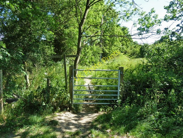 Photo 6"x4" Footpath junction near Laybrook Farm Goose Green\/TQ1118 c2011