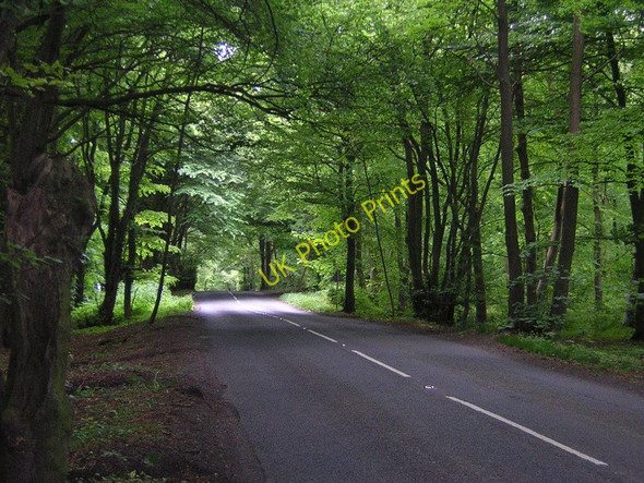 Photo 6"x4" Buckle Wood: the B4070 Great Witcombe c2011