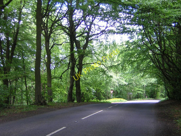Photo 6"x4" Buckle Wood: the B4070 Great Witcombe c2011 P1