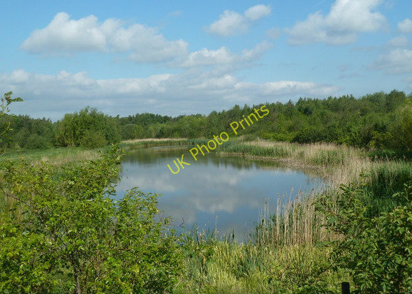 Photo 6"x4" Lake by the River Doe Lea Staveley\/SK4374 c2011
