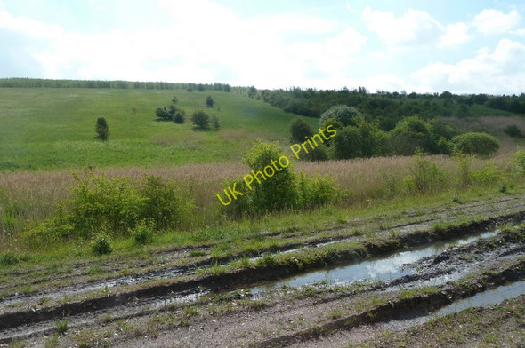Photo 6"x4" Hillside by the River Doe Lea Bolsover c2011