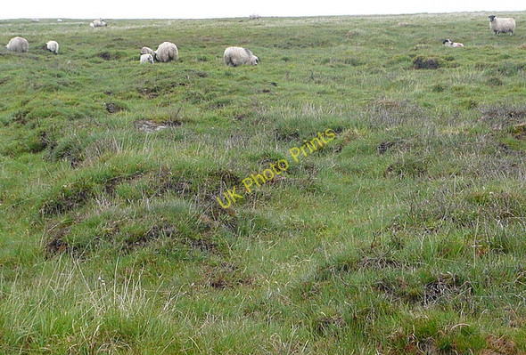 Photo 6"x4" South of Green Tor Chat Tor c2011