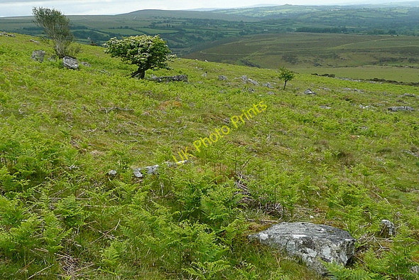 Photo 6"x4" Land below Brat Tor Shortacombe\/SX5286 c2011