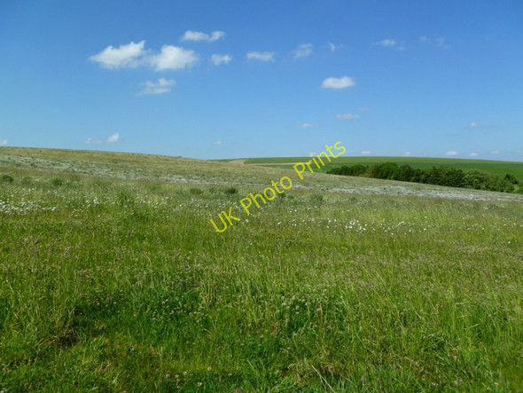 Photo 6"x4" West Kennet, downland East Kennett c2011