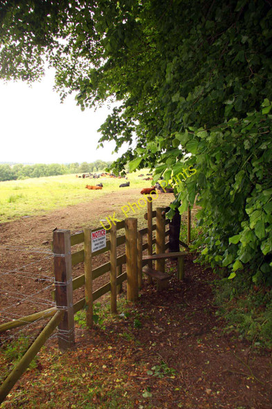 Photo 6"x4" Stile to the footpath Blenheim\/SP5705 c2011