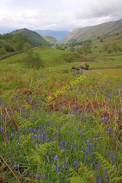 Photo 6"x4" St. John's in the Vale Legburthwaite c2011