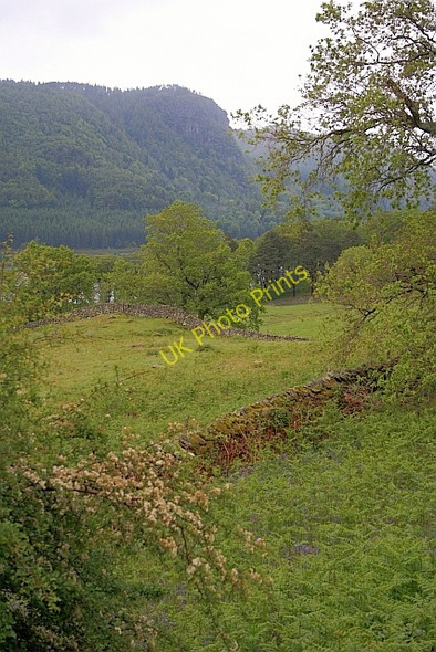 Photo 6"x4" Fields Near Dalehead Hall Legburthwaite c2011