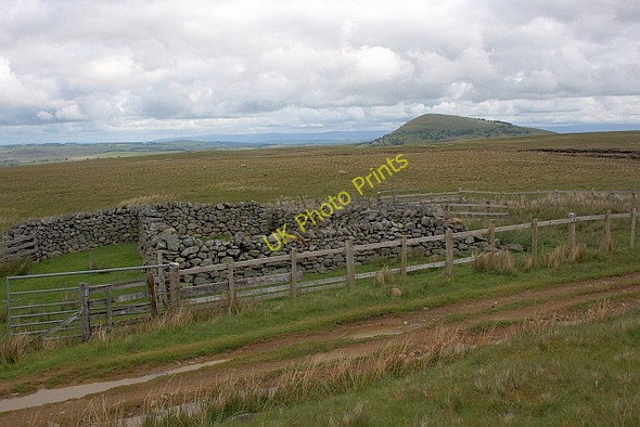 Photo 6"x4" Barbaryrigg Fold High Row\/NY3721 c2011