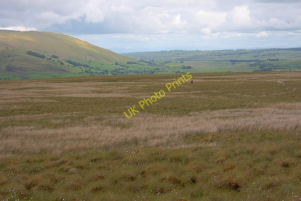 Photo 6"x4" Barbaryrigg Moss High Row\/NY3721 c2011