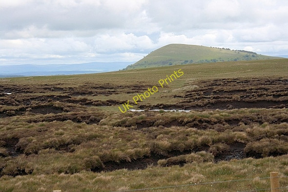 Photo 6"x4" Sandbeds Moss High Row\/NY3721 c2011