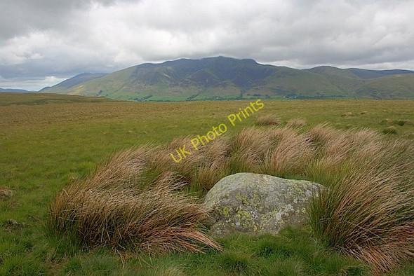 Photo 6"x4" Boulder, Whitesike Moss High Row\/NY3721 c2011