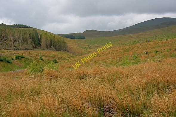 Photo 6"x4" Looking up Thornsgill Beck High Row\/NY3721 c2011