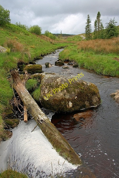 Photo 6"x4" Trout Beck Matterdale End c2011
