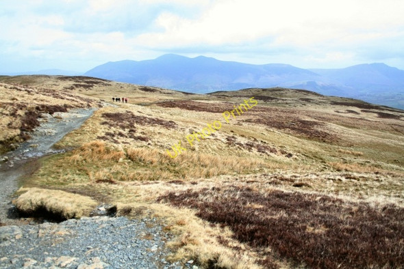 Photo 6"x4" Maiden Moor Little Town\/NY2319 c2008