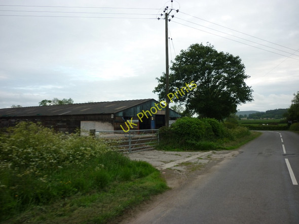 Photo 6"x4" Newton Farm More c2011
