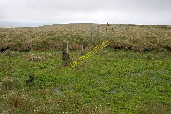 Photo 6"x4" Fence Post in a Bog Great Grassoms c2011